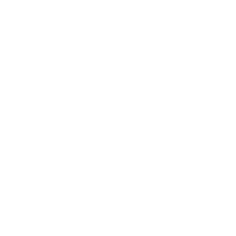 Kia — dealership partner
