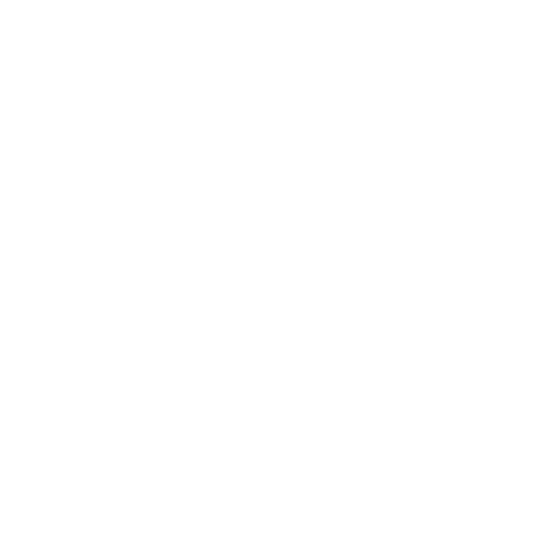 Nissan — dealership partner